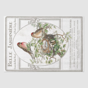 Bird Nest French Typography Garden Decoupage  Tissue Paper