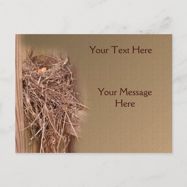Bird Nest In Fence Nature Postcard (Front)