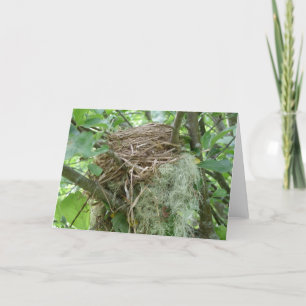 Bird nest notecard