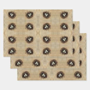 Bird Nest Old Vintage Antique Brown Eggs Wrapping Paper Sheet