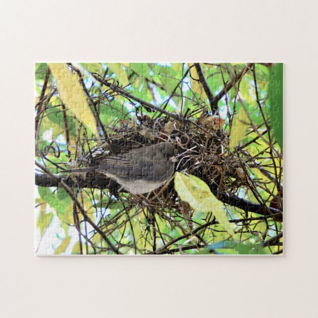 Bird Nest Photo Jigsaw Puzzle (Horizontal)