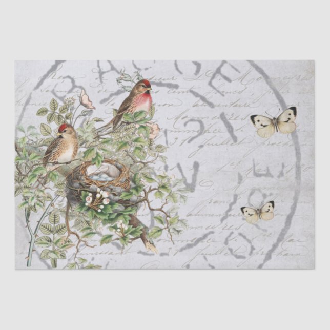 Bird Nest Postmark Butterfly French Script Blue Tissue Paper (Front)