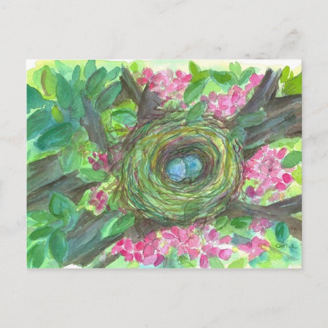 Bird Nest Robin Eggs Pink Flower Tree Postcard (Front)