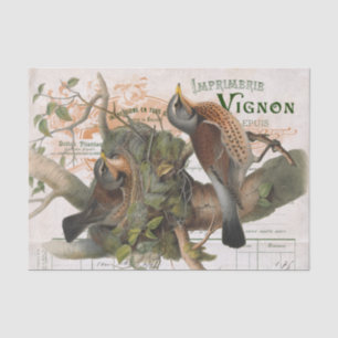 Bird Nest Tree Vintage French Script Decoupage  Tissue Paper