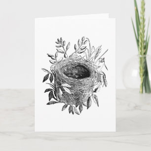 bird nest vintage illustration card