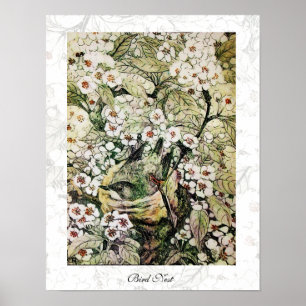 BIRD NEST ,white brown green yellow Poster