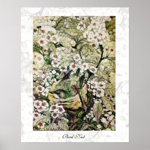 BIRD NEST ,white brown green yellow Poster