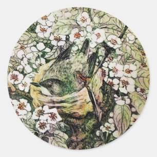 BIRD NEST ,white brown yellow green Classic Round Sticker
