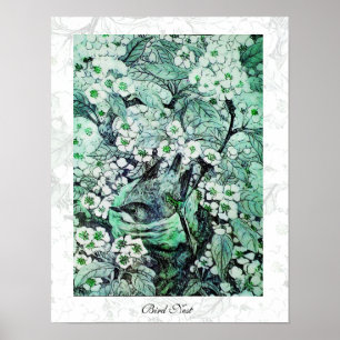 BIRD NEST ,white green Poster