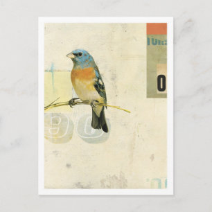 Bird No.1 Postcard