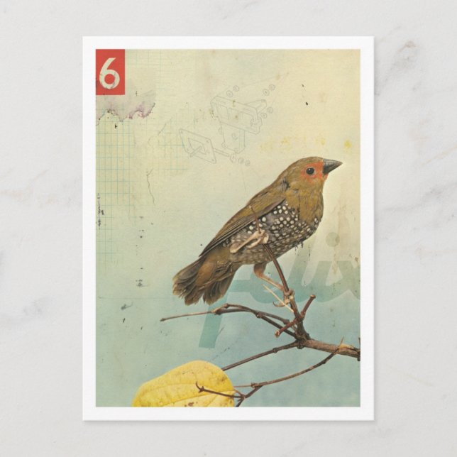 Bird No.2 Postcard (Front)