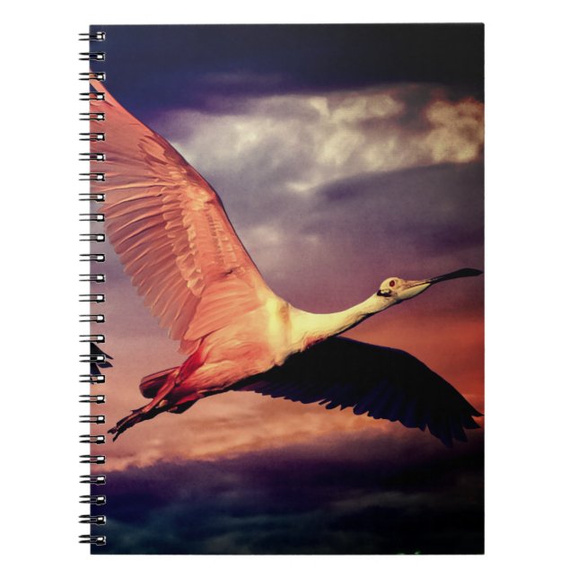 Bird Notebook (Front)