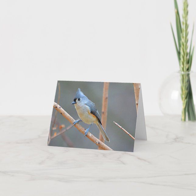 Bird Notecard (Front)