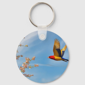 Bird of colours in nature's lap keychain