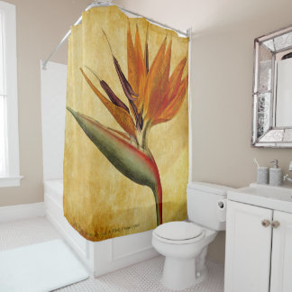 bird of paradise