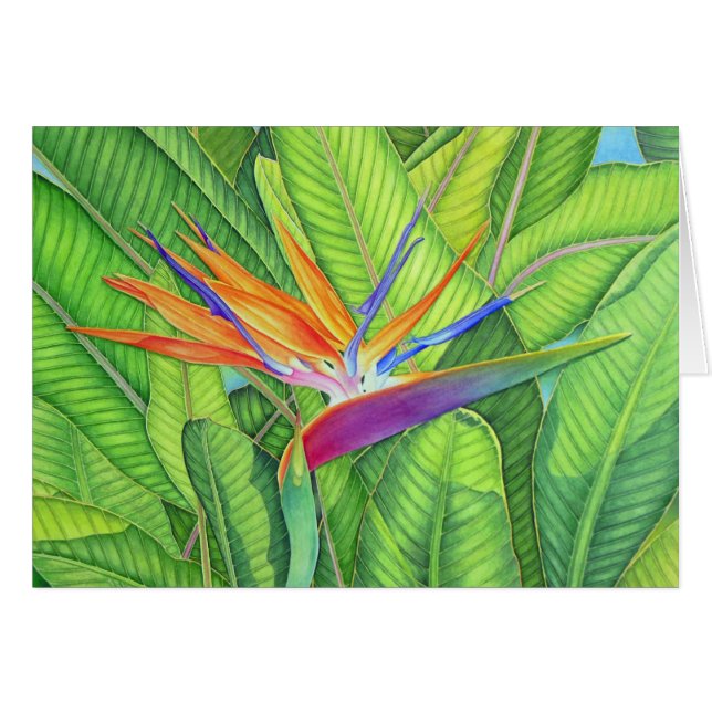 Bird of Paradise (Front Horizontal)
