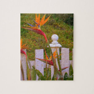 Bird of Paradise 2 Jigsaw Puzzle