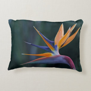 Bird of Paradise Accent Pillow
