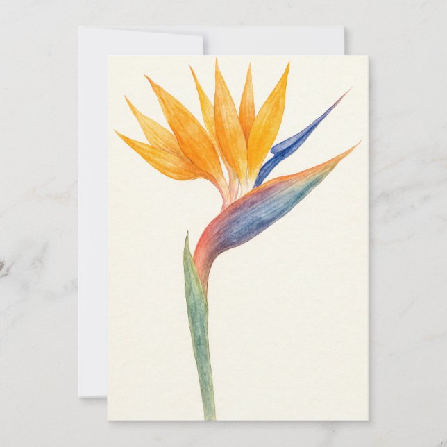 Bird of Paradise Botanical Postcard (Front)