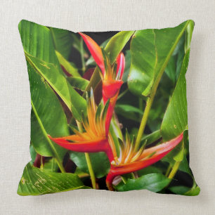 Bird of Paradise by Madeline Ellis Throw Pillow