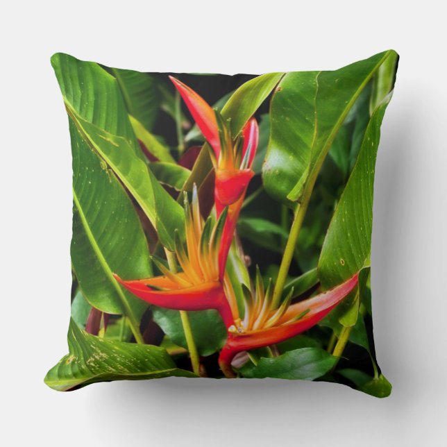 Bird of Paradise by Madeline Ellis Throw Pillow (Front)