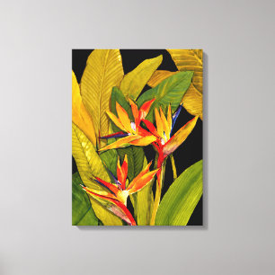 Bird of Paradise Canvas Print