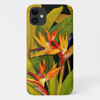Bird of Paradise