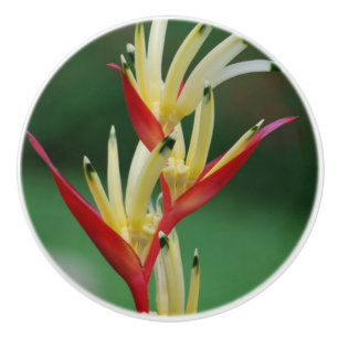 Bird of Paradise Ceramic Knob