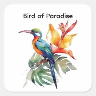 Bird of Paradise, customizable Square Sticker