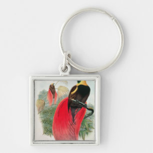 Bird of Paradise, engraved by T. Walter Keychain