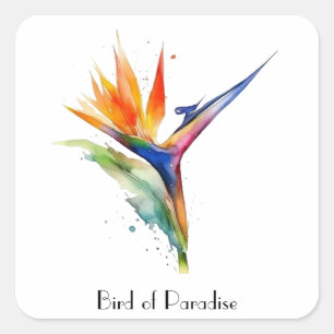 Bird of paradise exotic flower, customizable square sticker