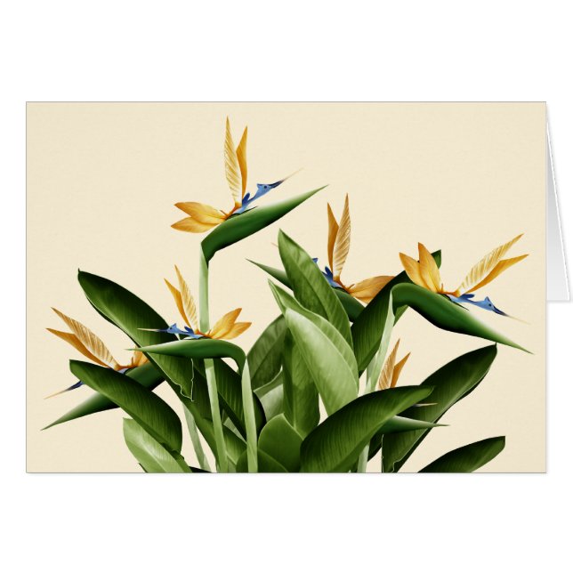 Bird-of-Paradise Fantasy Plant (Front Horizontal)