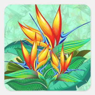 Bird of Paradise Flower Exotic Nature Square Sticker