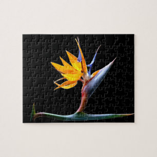 Bird of Paradise Flower Jigsaw Puzzle