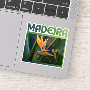 Bird of Paradise flower, Madeira Portugal travel