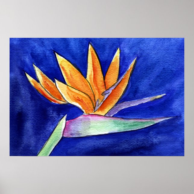 Bird of Paradise Flower Painting Art Poster Prints (Front)