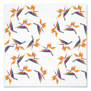 Bird of paradise flower pattern photo print