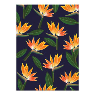 Bird of paradise flower photo print