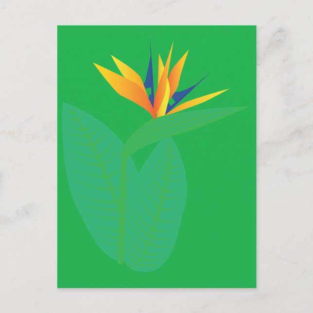 Bird of Paradise Flower Postcard (Front)