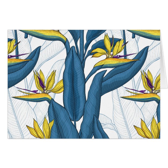 Bird of paradise flowers on white (Front Horizontal)