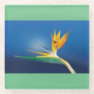 Bird of Paradise Glass Coaster
