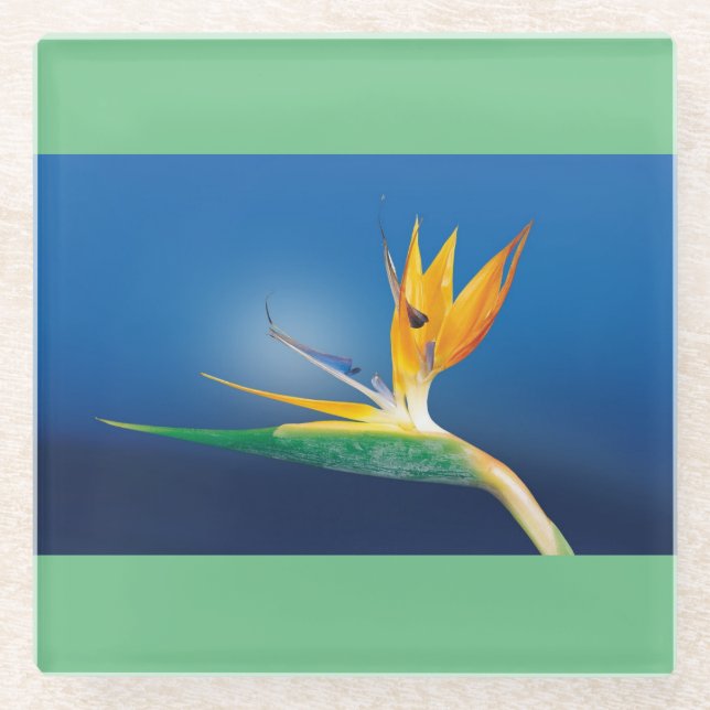 Bird of Paradise Glass Coaster (Front)