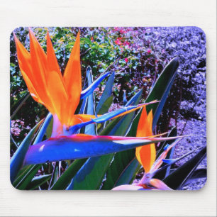 Bird of Paradise Hawaii Mouse Pad