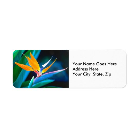 Bird Of Paradise (Hawaii) Return Address Label