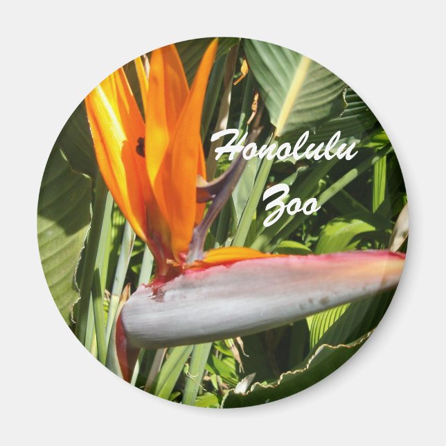 Bird of Paradise, Honolulu Zoo Magnet (Front)