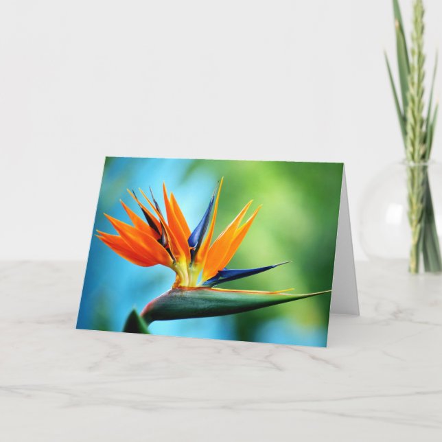 Bird of Paradise I Card (Front)