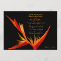 Bird of Paradise Invitation