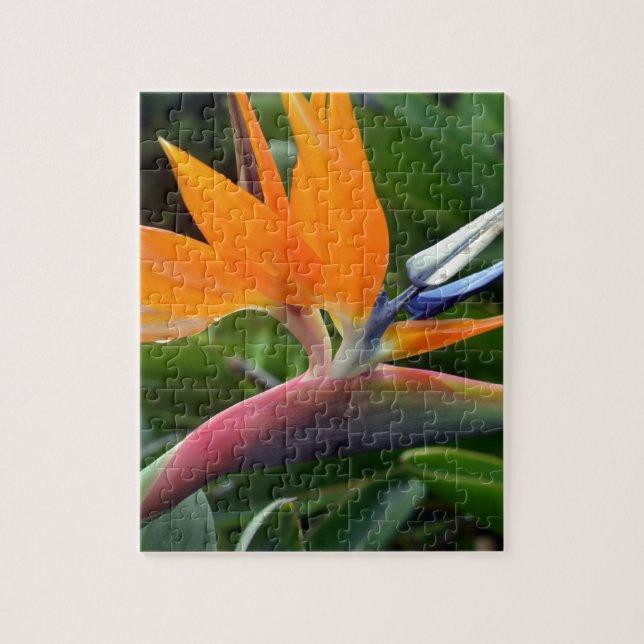 Bird Of Paradise Jigsaw Puzzle (Vertical)
