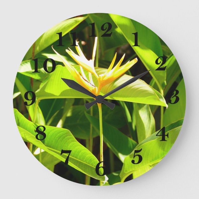 Bird of Paradise Large Clock (Front)