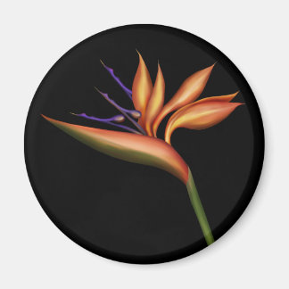 Bird Of Paradise Magnet